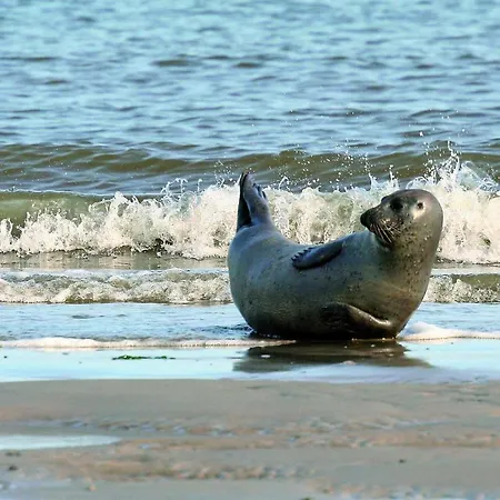 Gud Jard Nr 09 - Design-ferienhaus Mit Exklusiver Ausstattung Dom wakacyjny *